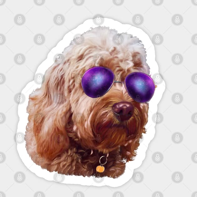 Cool Cute Cavapoo Cavoodle puppy dog Face with sunglasses  - cavalier king charles spaniel poodle, puppy love Sticker by Artonmytee